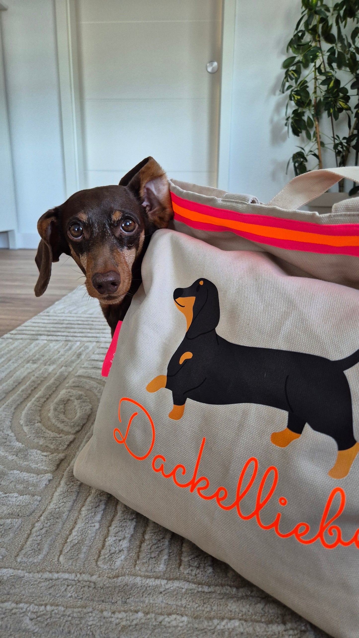 Canvas Rucksack Damen l beige Dackel